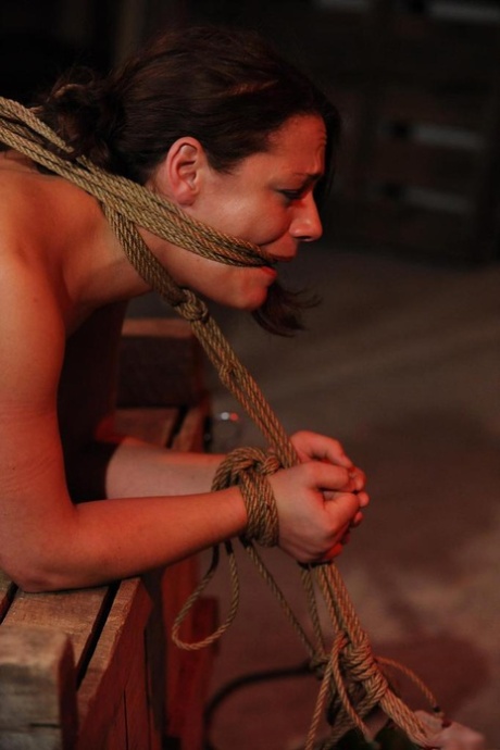 Rope bound and anal hooked mature lady endures a painful BDSM session 74628315